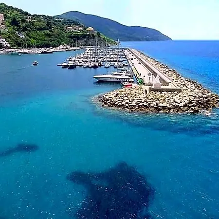 Gianninella